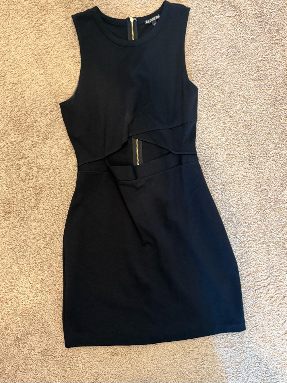 Express Black Sleeveless Mini Dress with Cutout and Gold Zip